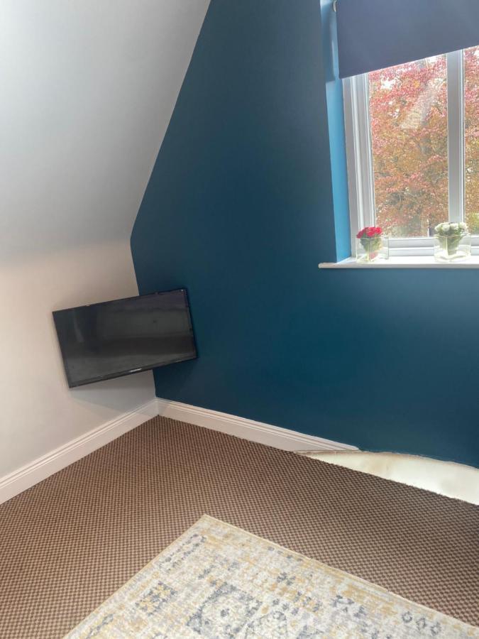 The Willows Lovely Double Apartment Rostrevor Exterior photo